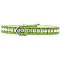 Mirage Pet Products Beverly Style Rhinestone Designer Croc Dog CollarLime Green Size 10 82-19-LGC10
